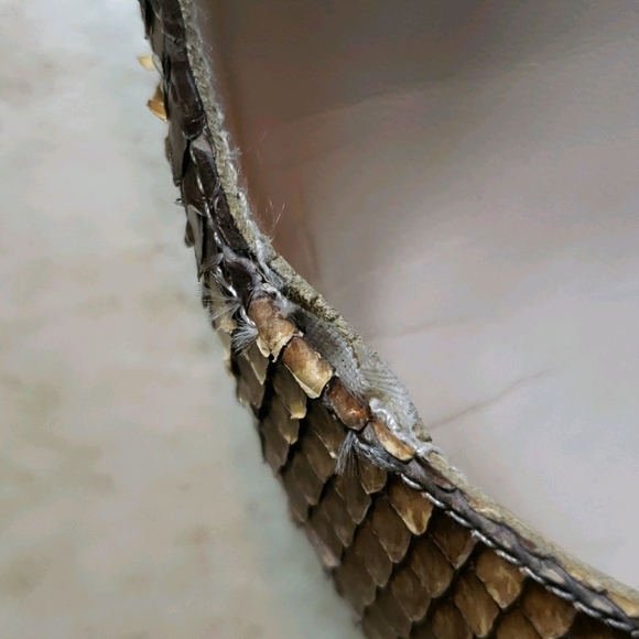 Stuart Weitzman Snake Skin Pumps size 8.5AA/Narrow - Picture 10 of 10